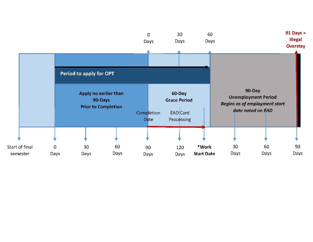 OPT Timeline for Application